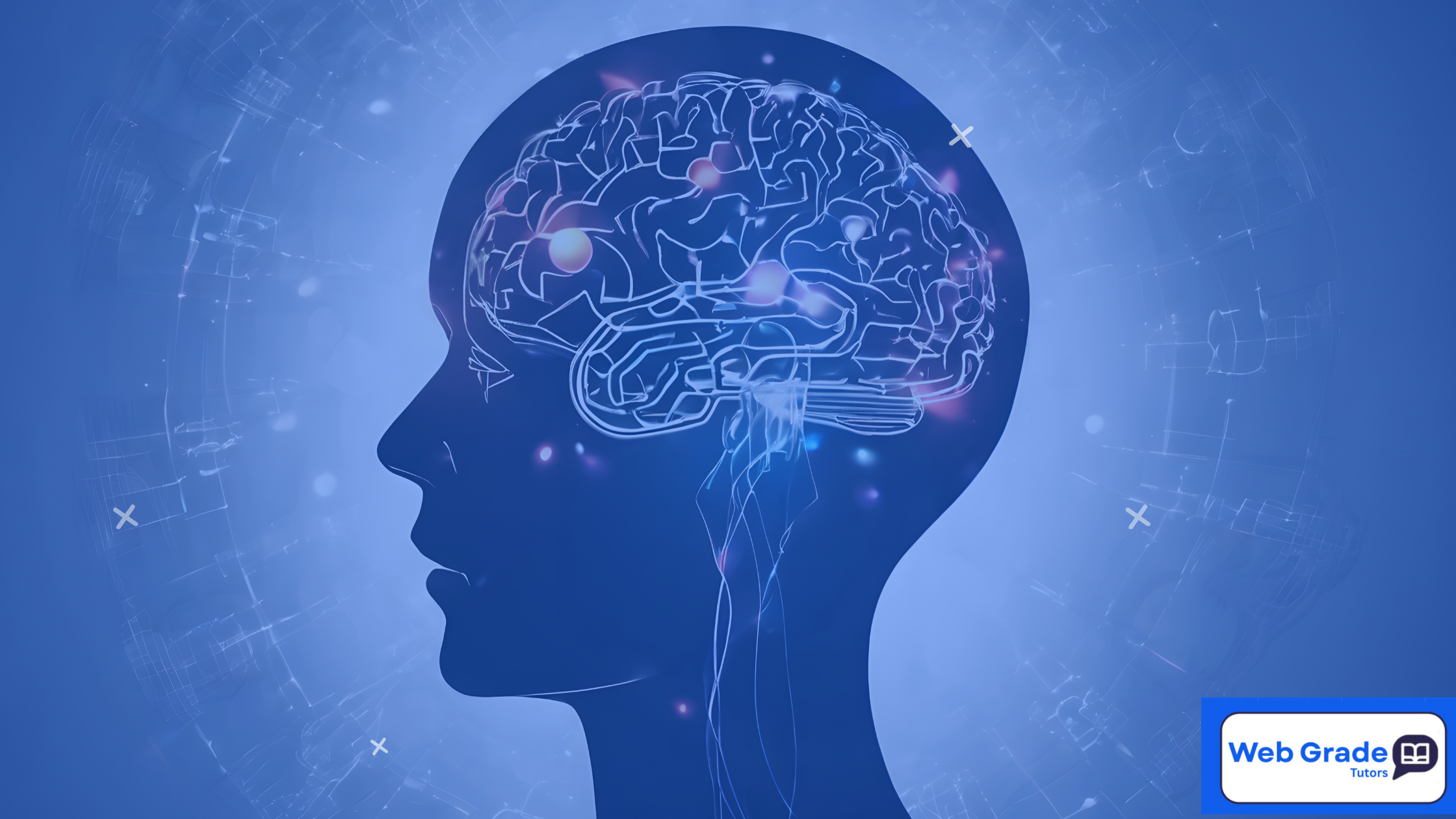Hydration and the brain improving student focus during study